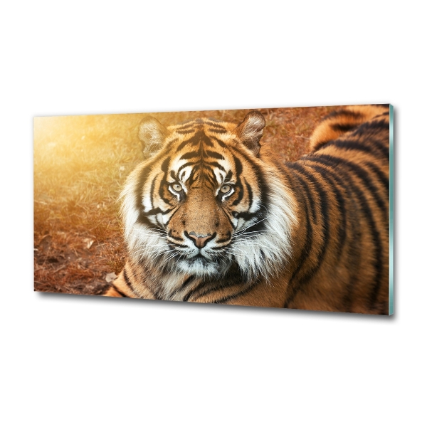 Quadro su vetro Tigre del Bengala