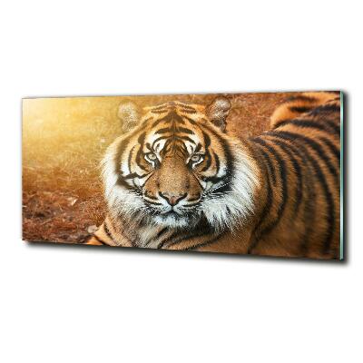 Quadro su vetro Tigre del Bengala