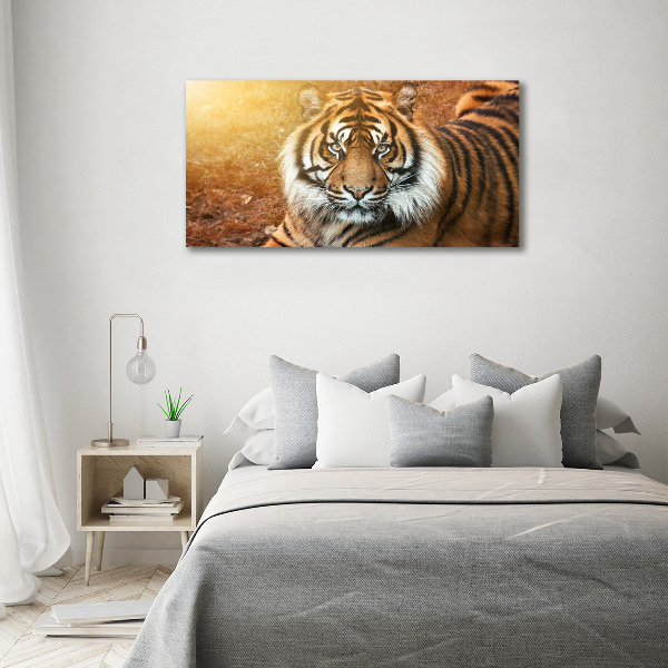 Quadro su vetro Tigre del Bengala