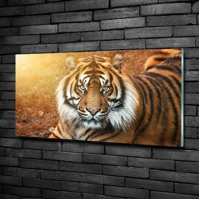 Quadro su vetro Tigre del Bengala