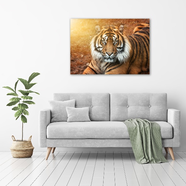 Quadro su vetro Tigre del Bengala