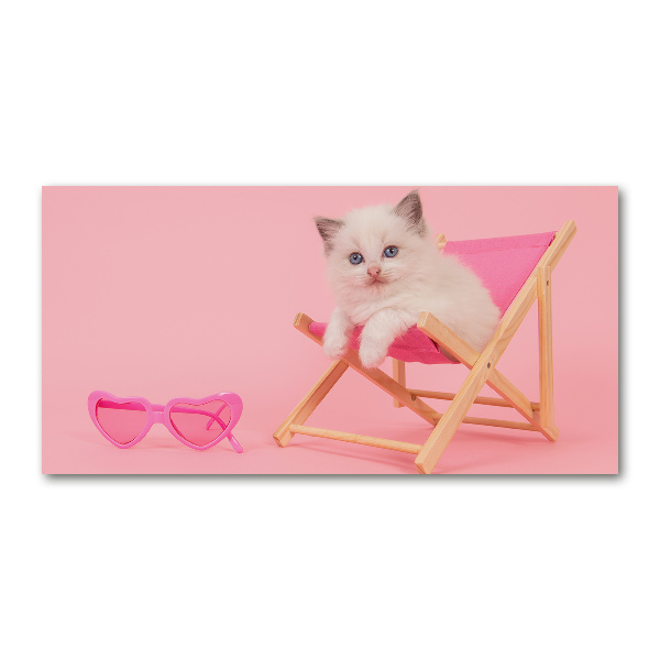 Quadro vetro Gatto su una sdraio