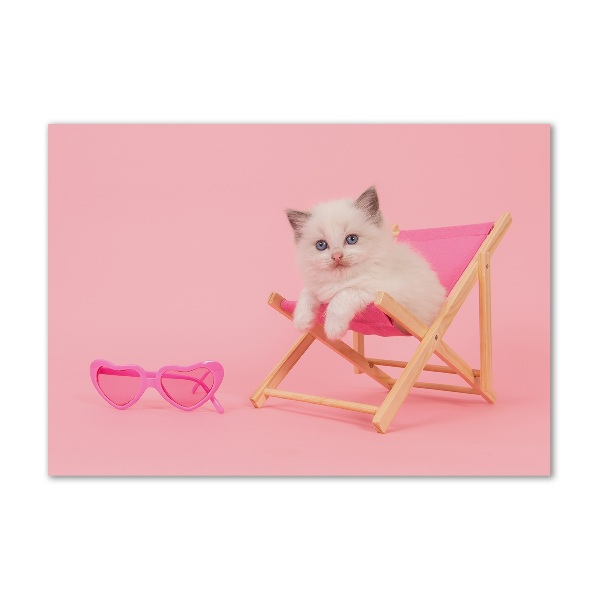 Quadro vetro Gatto su una sdraio