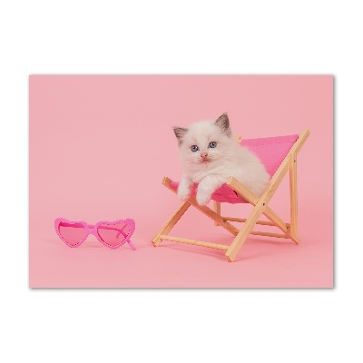 Quadro vetro Gatto su una sdraio