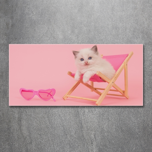 Quadro vetro Gatto su una sdraio