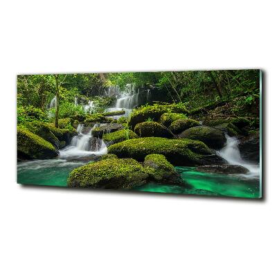 Quadro in vetro Cascata nella foresta