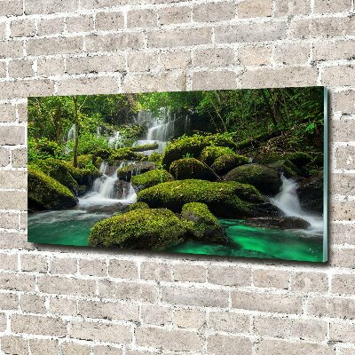Quadro in vetro Cascata nella foresta
