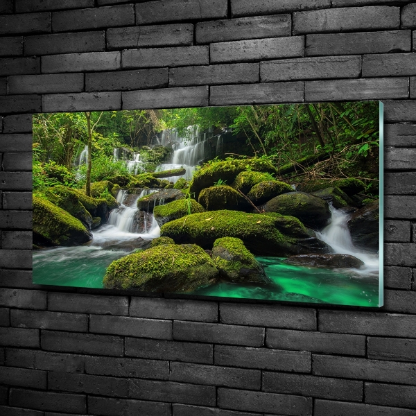 Quadro in vetro Cascata nella foresta