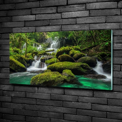 Quadro in vetro Cascata nella foresta