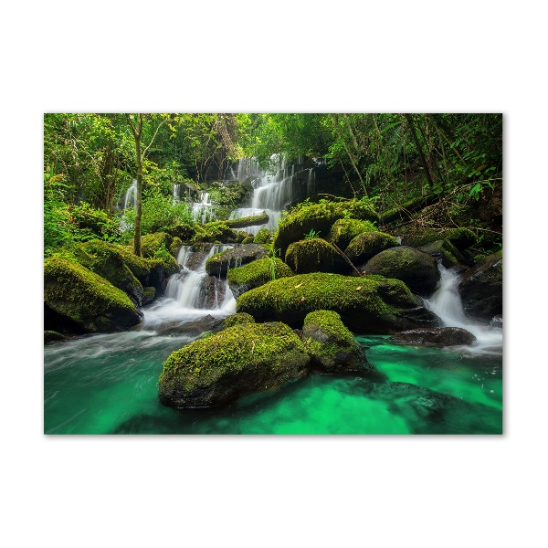 Quadro in vetro Cascata nella foresta