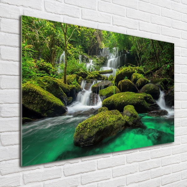 Quadro in vetro Cascata nella foresta