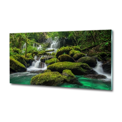 Quadro in vetro Cascata nella foresta
