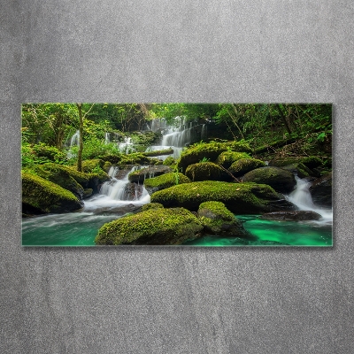 Quadro in vetro Cascata nella foresta