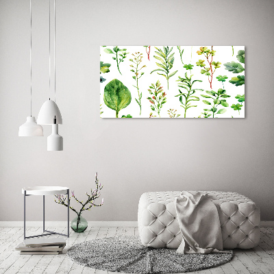 Quadro in vetro Erbe e piante infestanti