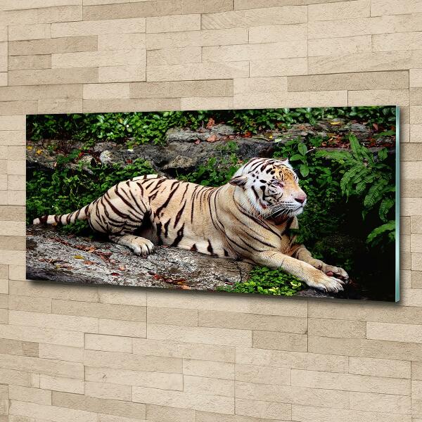 Quadro su vetro Tigre su una roccia