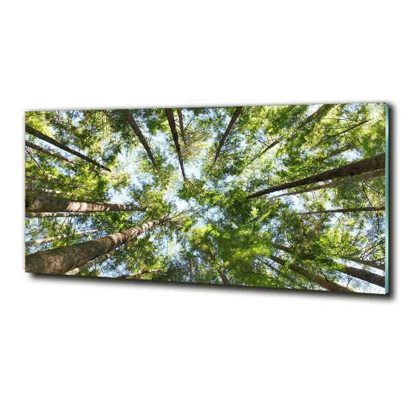 Quadro su vetro Chioma dell'albero