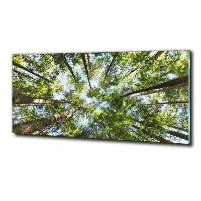 Quadro su vetro Chioma dell'albero