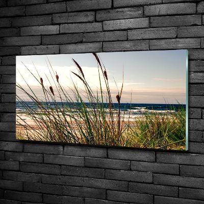 Quadro in vetro Dune costiere