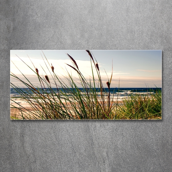 Quadro in vetro Dune costiere