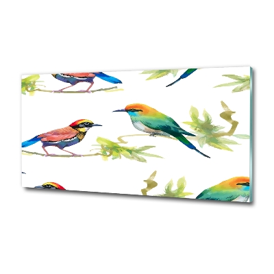 Quadro in verde Uccelli esotici