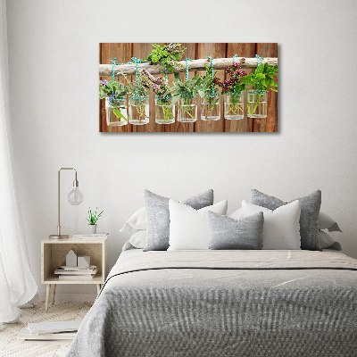 Quadro su vetro Erbe aromatiche in barattolo