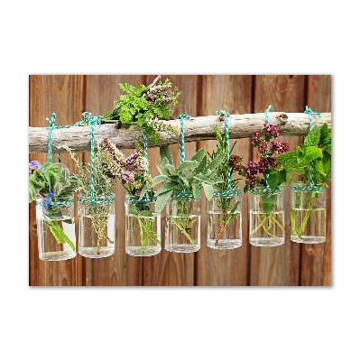 Quadro su vetro Erbe aromatiche in barattolo