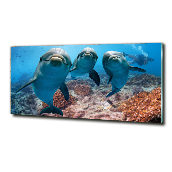 Quadro su vetro Delfini