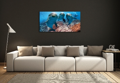 Quadro su vetro Delfini