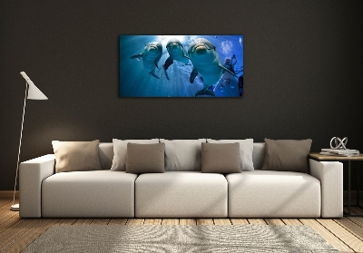 Quadro vetro Tre delfini