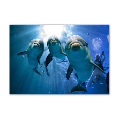 Quadro vetro Tre delfini