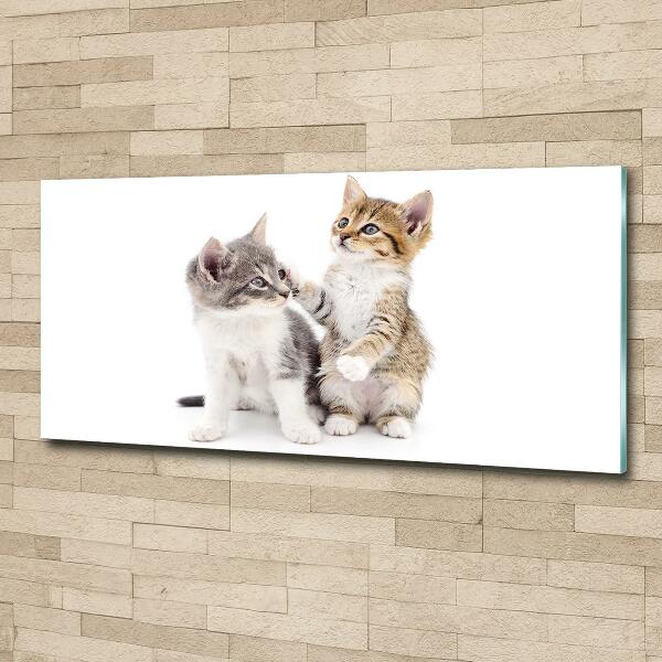 Quadro in verde Due gattini