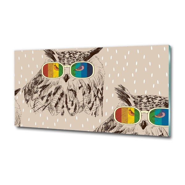 Quadro in verde Gufi con gli occhiali