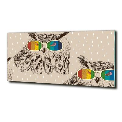 Quadro in verde Gufi con gli occhiali