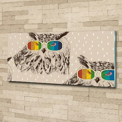 Quadro in verde Gufi con gli occhiali