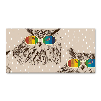 Quadro in verde Gufi con gli occhiali