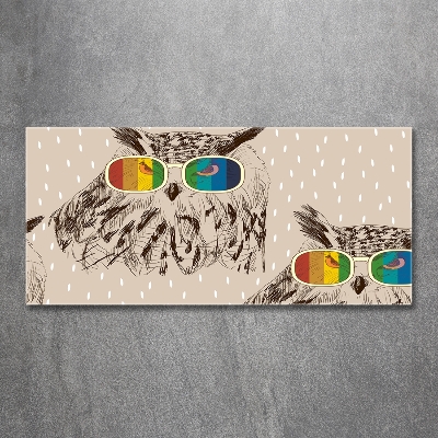 Quadro in verde Gufi con gli occhiali