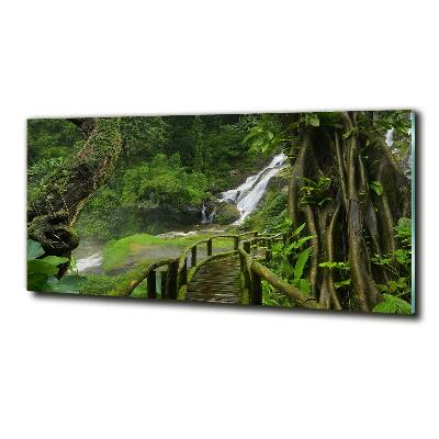 Quadro in vetro Cascata nella giungla