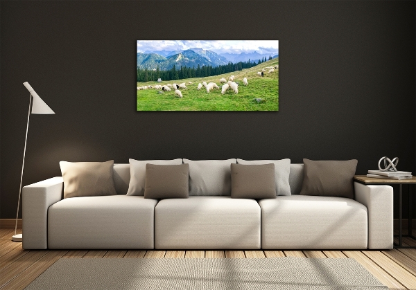 Quadro vetro Pecore sui monti Tatra