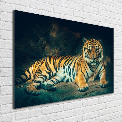 Quadro in vetro La tigre nella caverna