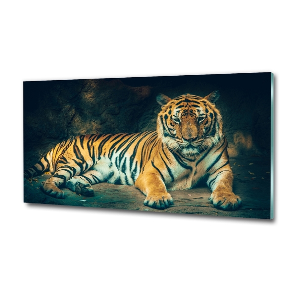 Quadro in vetro La tigre nella caverna