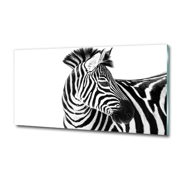 Quadro in verde Zebra nella neve
