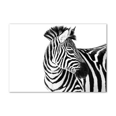 Quadro in verde Zebra nella neve