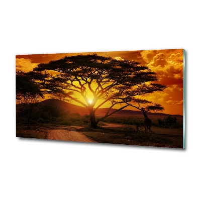 Quadro su vetro Africa occidentale