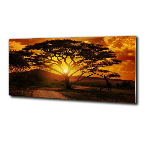 Quadro su vetro Africa occidentale