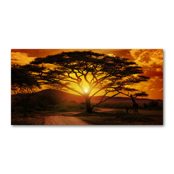 Quadro su vetro Africa occidentale