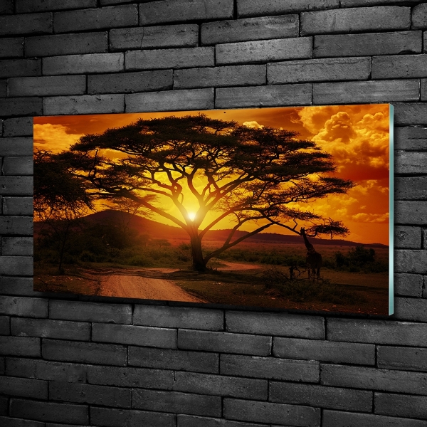 Quadro su vetro Africa occidentale