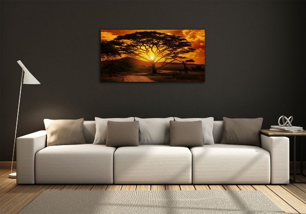 Quadro su vetro Africa occidentale