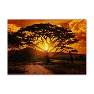 Quadro su vetro Africa occidentale