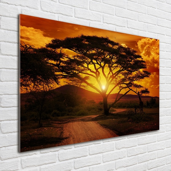 Quadro su vetro Africa occidentale