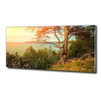 Quadro vetro Lago scandinavo